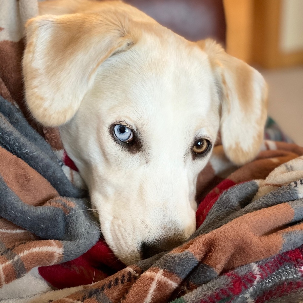 Meet your Posher, Cathy